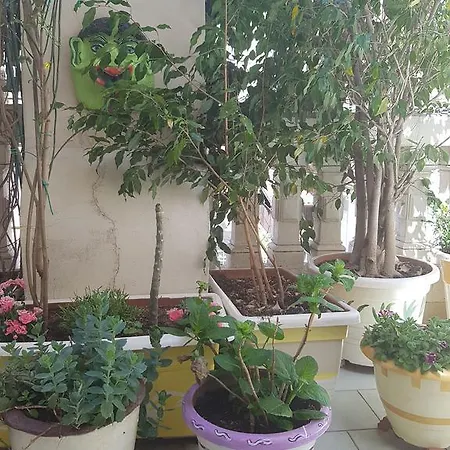 La Stanza Blu Terrazza Con فندق مبيت وإفطار *